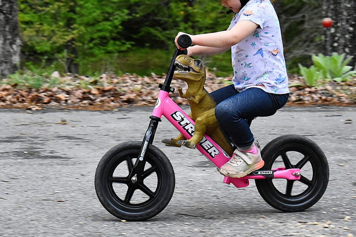 Strider Sports | Contender Bicycles