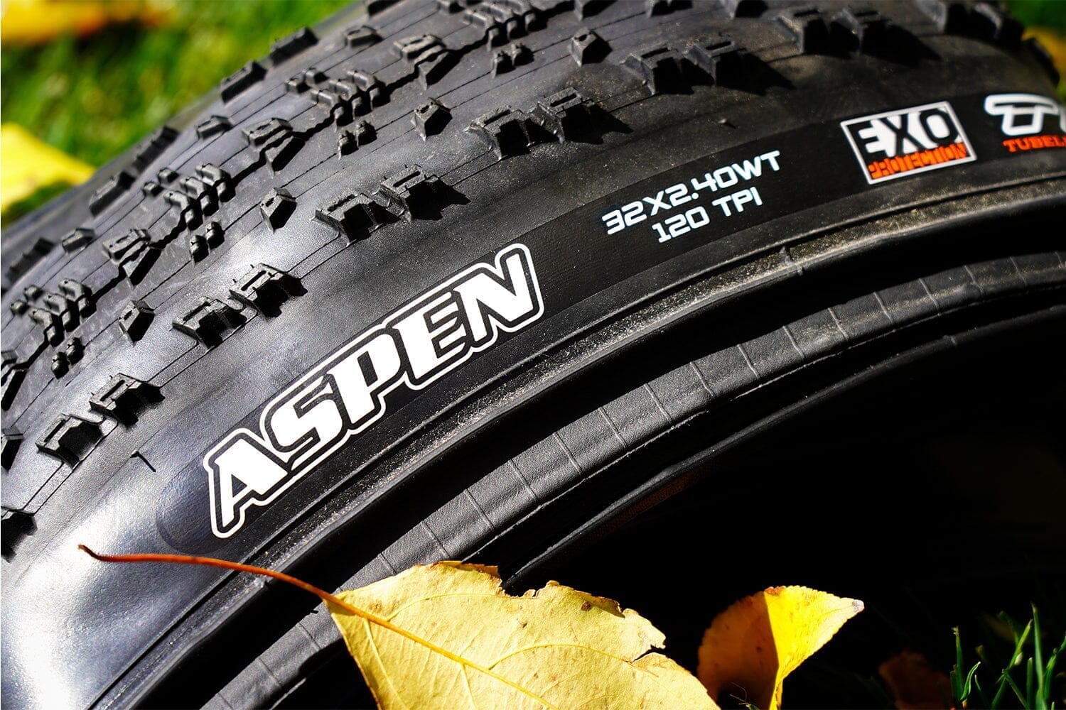 Q&A: Are 32-Inch Wheels the Future | Contender Bicycles