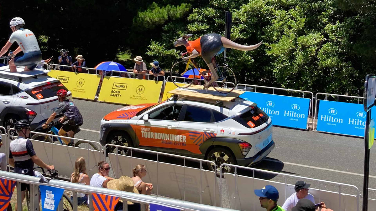 Kangaroo Racing Climbs, Crashes, Kangaroos and other MAMILs | Contender Bicycles