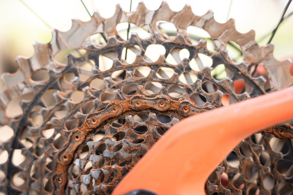 So You Want To Do White Rim In A Day? | Contender Bicycles