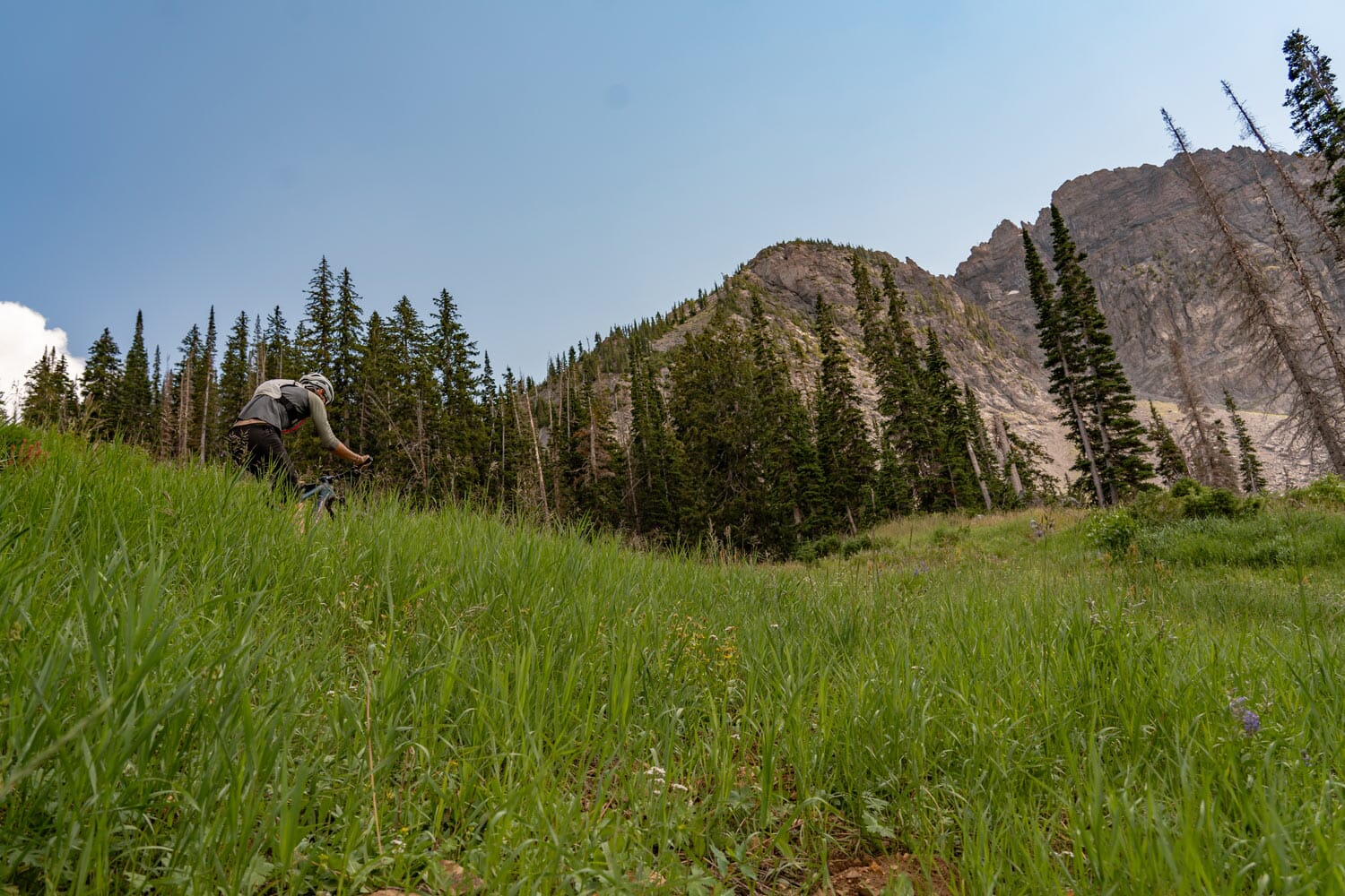 Pine Trees Vs. Red Rocks