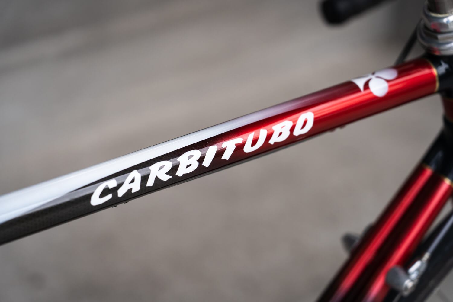Beautiful Bicycle - Ryan's Colnago Carbitubo