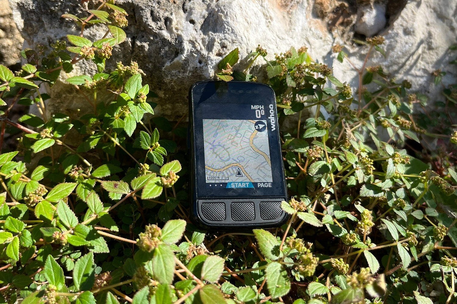 Wahoo ELEMNT Bolt Long-Term Review | Contender Bicycles