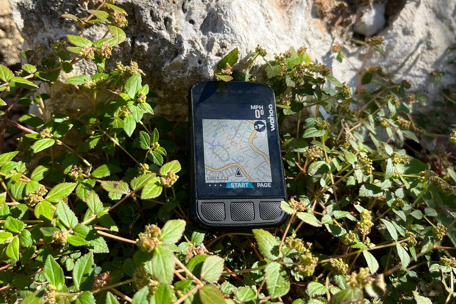 Elemnt orders roam review