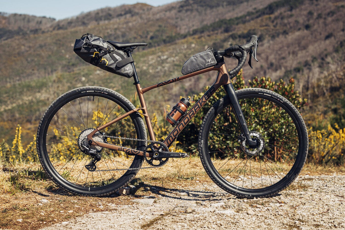 Mondraker Arid