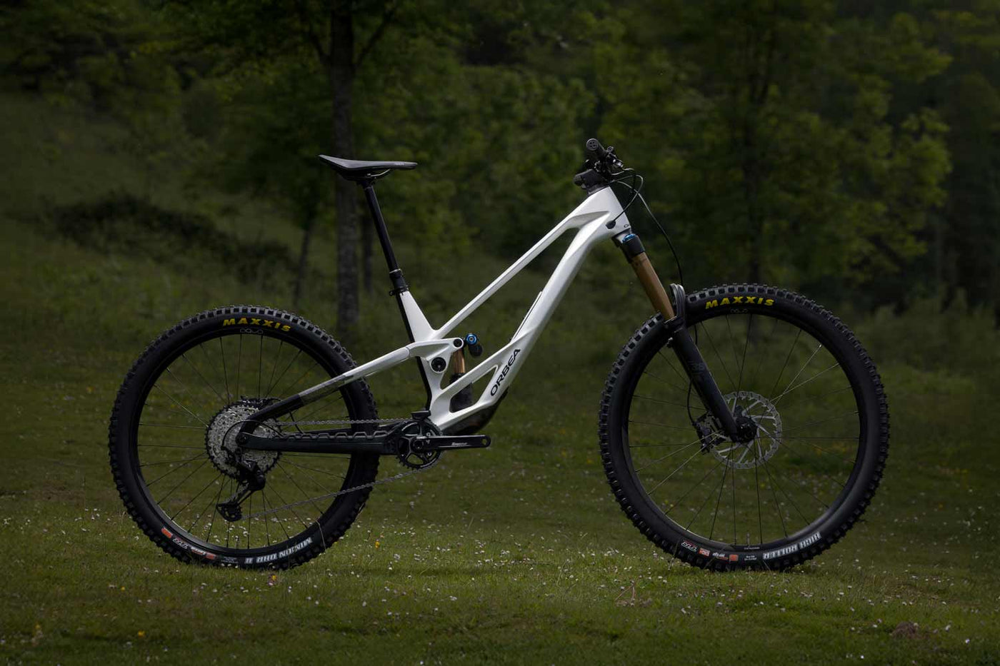 Orbea Rallon