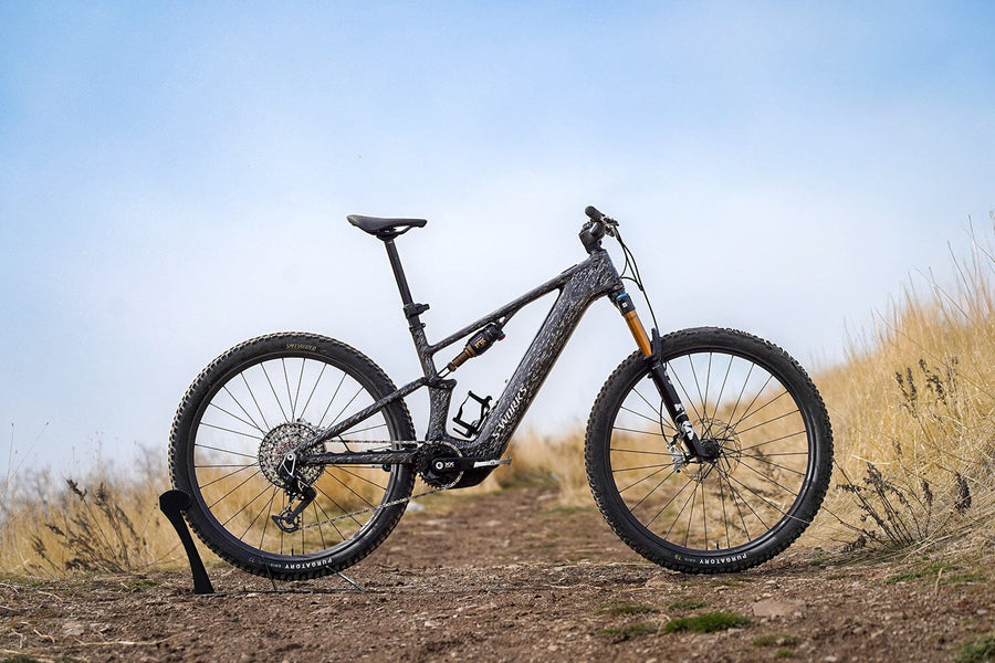 Specialized Levo R