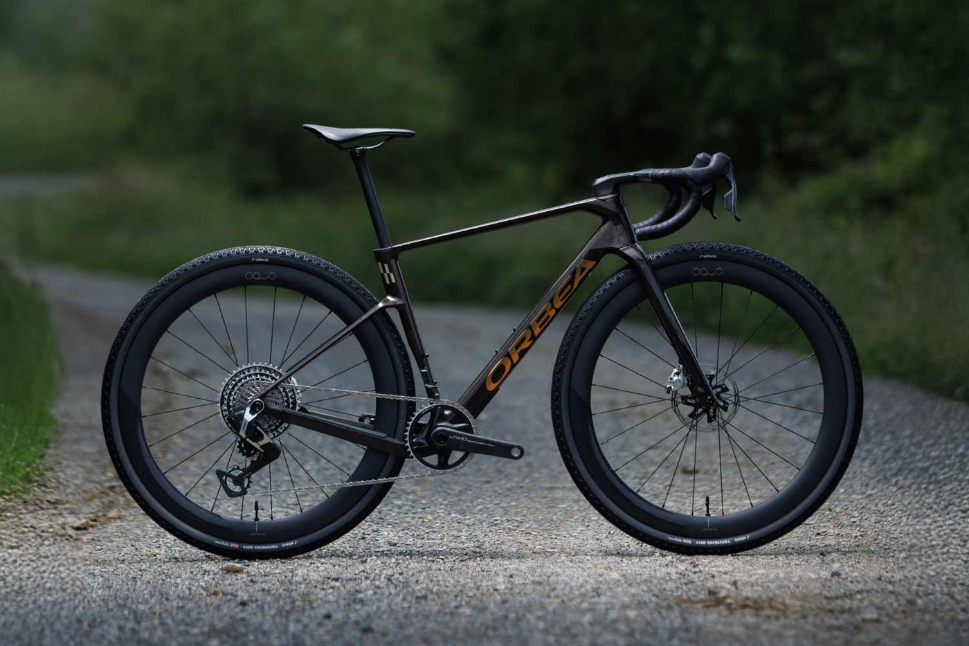 Orbea Terra Race