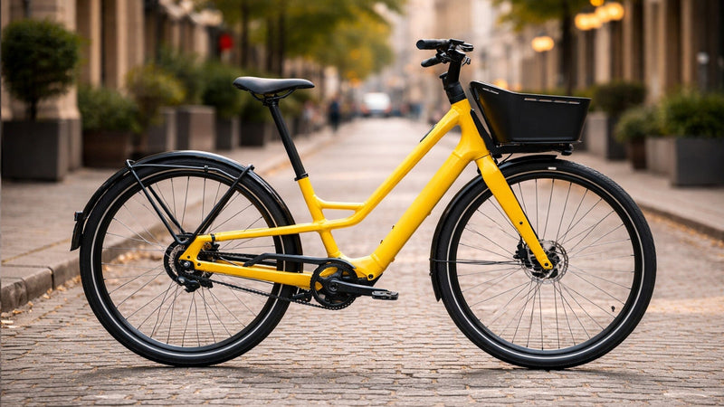 Specialized Electric Bikes