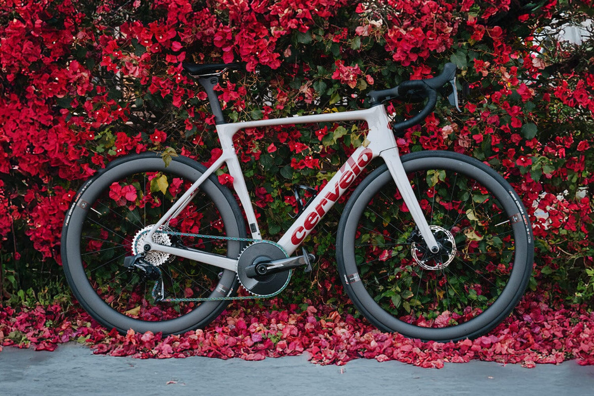 Cervélo Soloist | Contender Bicycles
