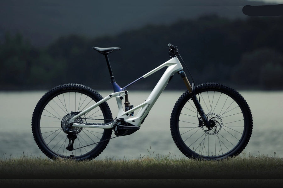 Orbea Wild TR