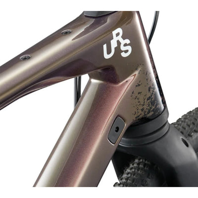 The BMC URS 01 LT Two Detail Shot