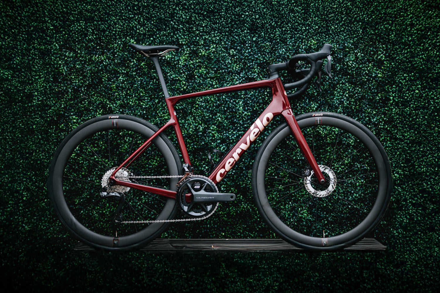A cervelo Caledonia-5 against a bush