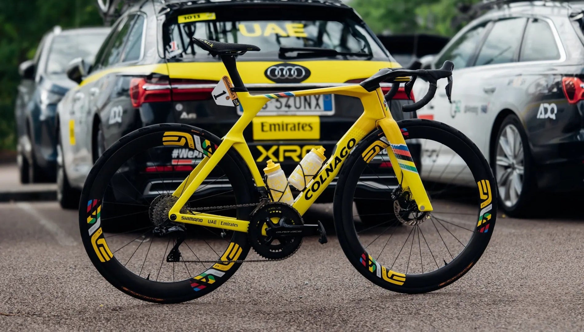 A yellow colnago road bike photographed in a parking lot. 