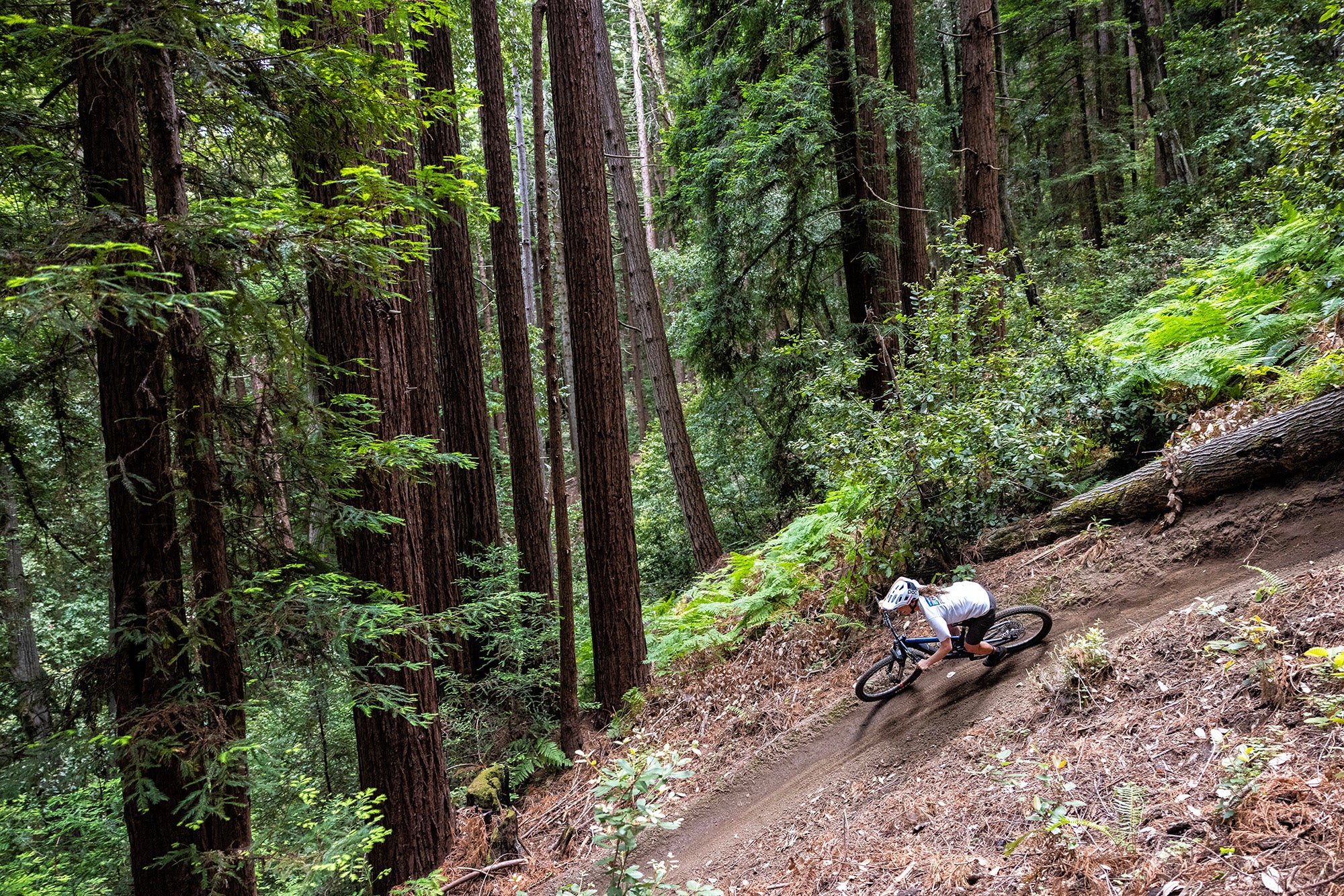 
An action shot of a man riding a Santa Cruz Nomad on a forest trail, navigating loose rocks and uneven terrain, demonstrating the bike’s stability and performance in challenging conditions, available at Contender Bicycles.