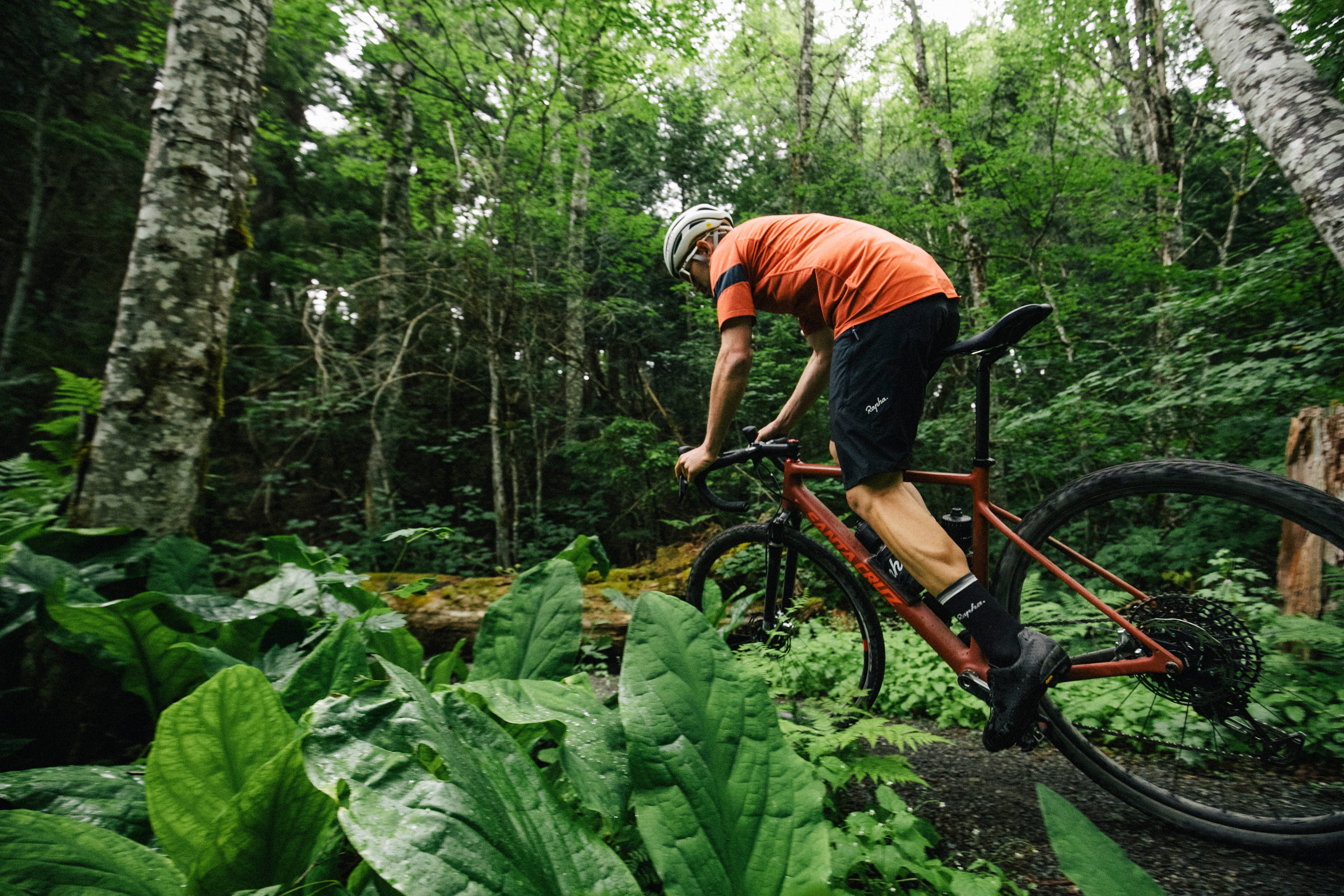 An action shot of a man riding a Santa Cruz Stigmata gravel bike through a lush forest trail, surrounded by tall trees, Sold at Contender Bicycles.