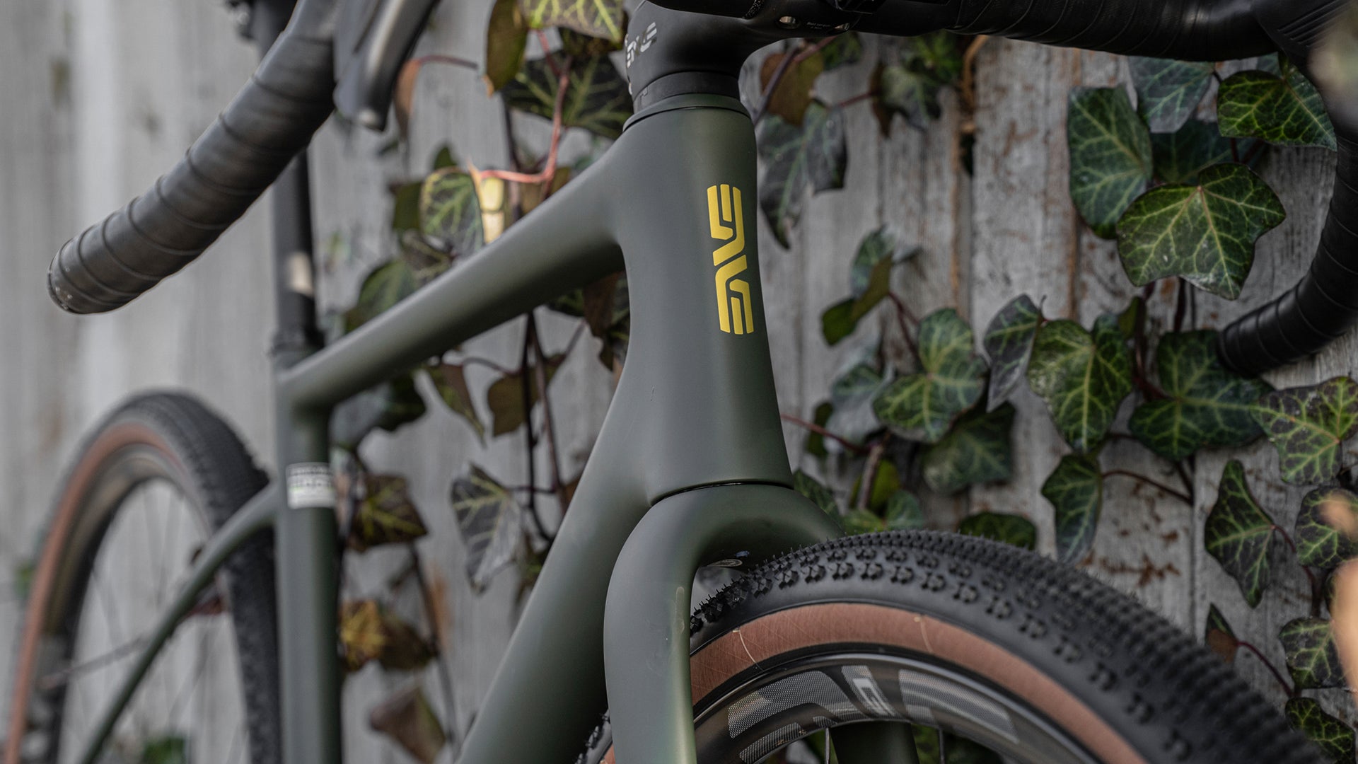 A Green Enve MOG against a fence with leaves. 
