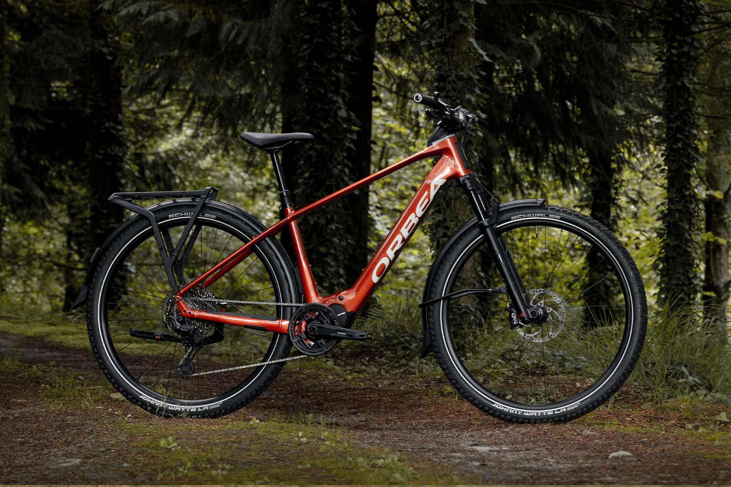 Red bicycle parked on a forest path with trees in the background.