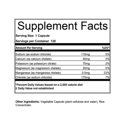 Hammer Nutrition Endurolytes Extreme, 120 Capsules Accessories Hammer Nutrition 