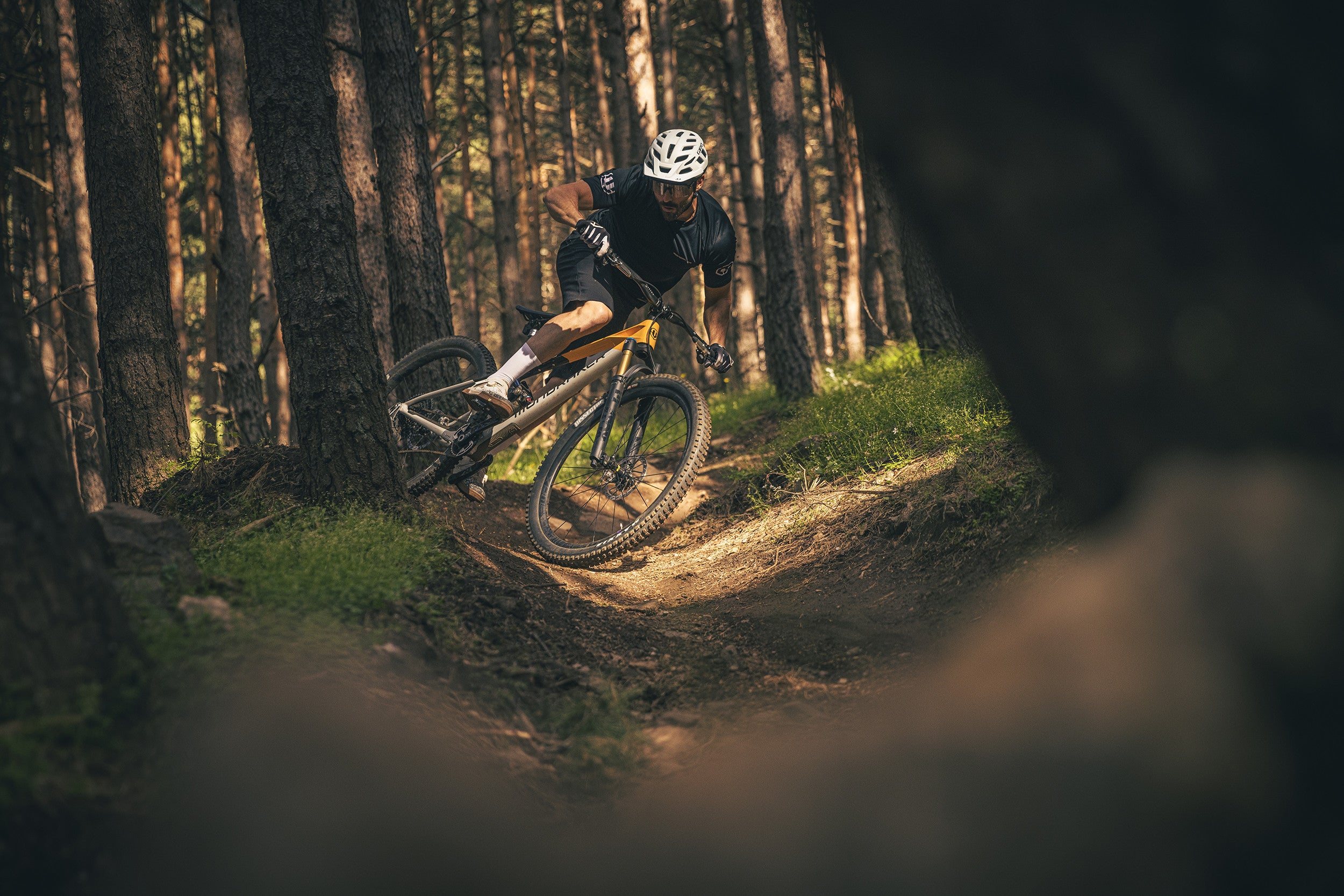 A man riding the Mondraker Raze Trail bike through a forest. Available at Contender Bicycles. 