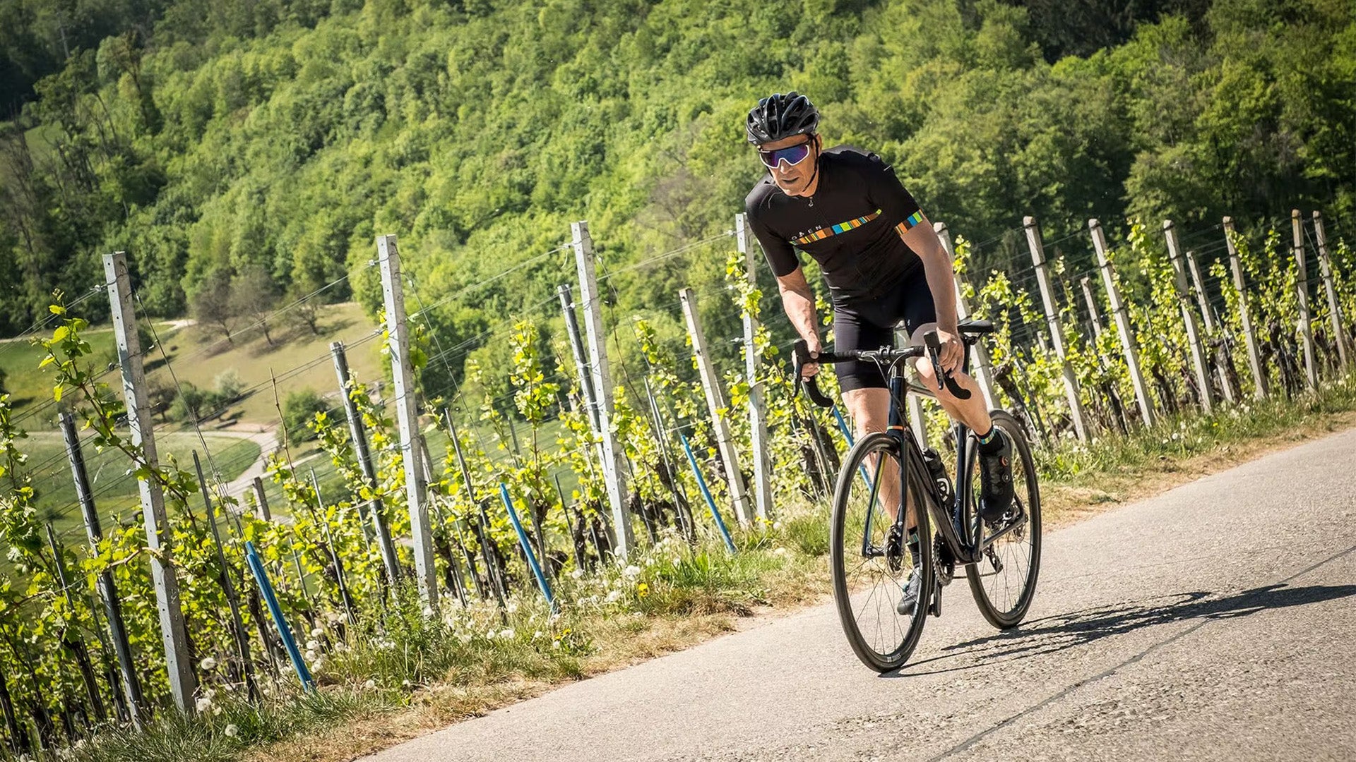 Person cycling on a road surrounded by vineyards