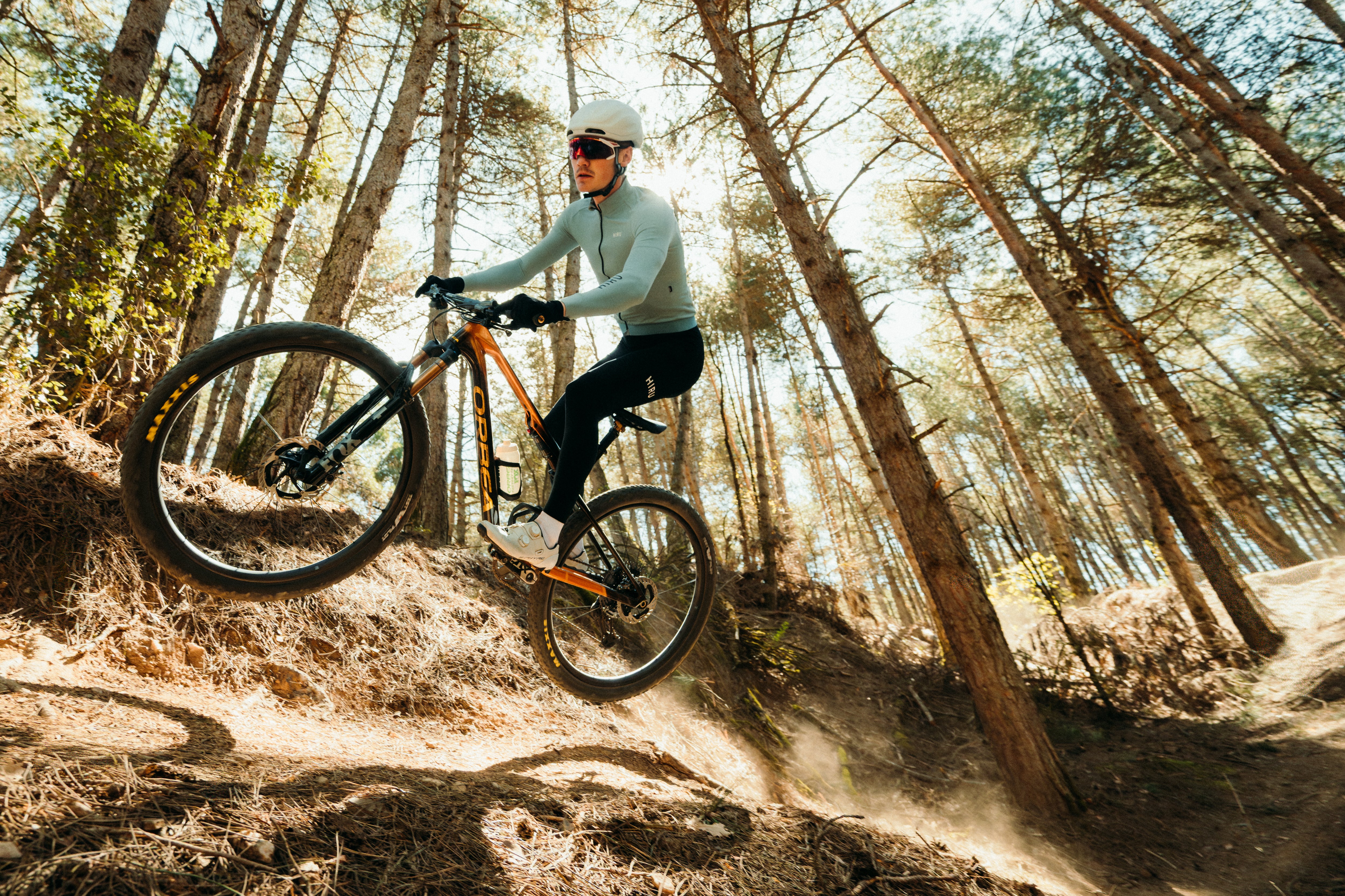 Person riding a mountain bike through a forest