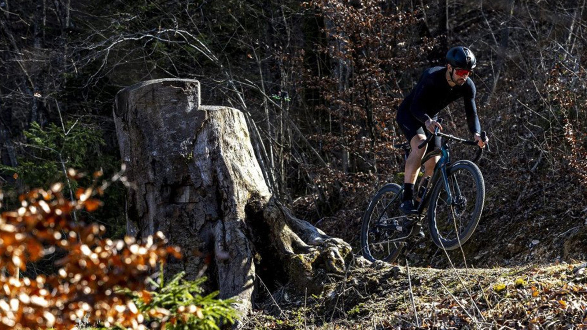A man riding a pinarello gravel bike in a forest. 