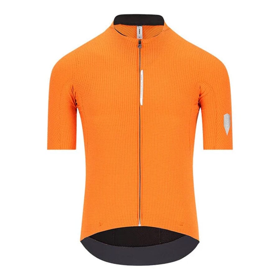 Q36.5 Dottore PRO Jersey | Contender Bicycles