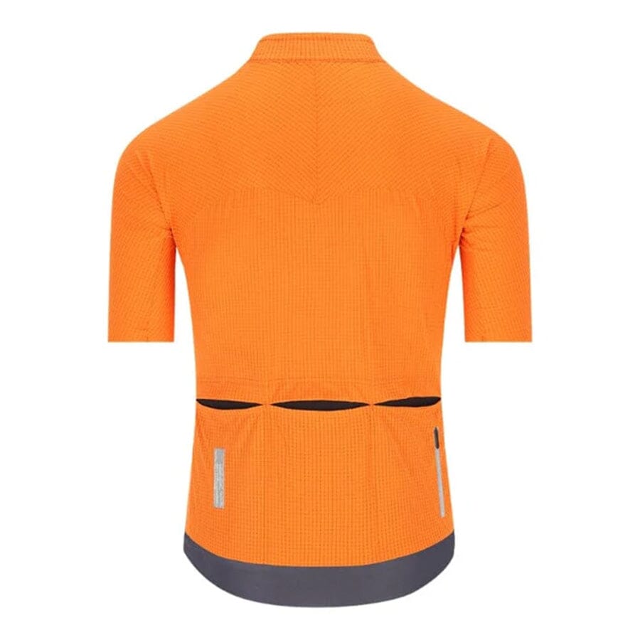 Q36.5 Dottore PRO Jersey APPAREL Q36.5 