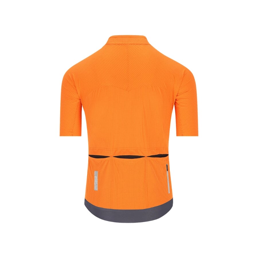 Q36.5 Dottore PRO Jersey APPAREL Q36.5