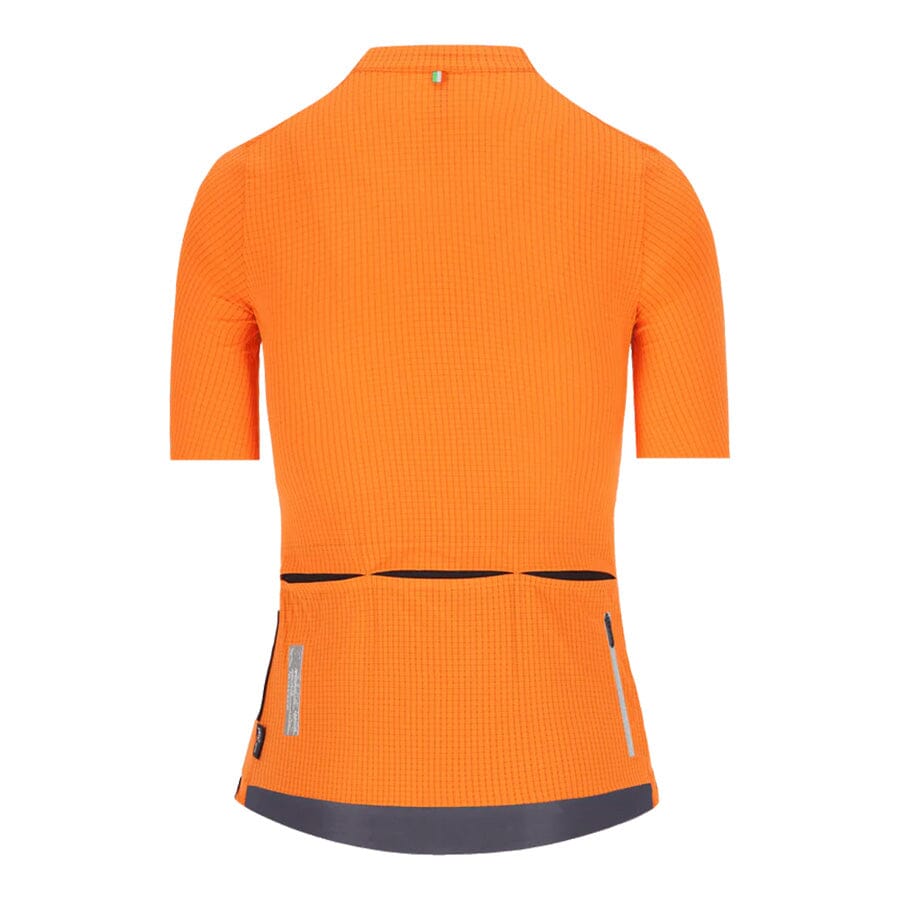 Q36.5 Dottore Pro Jersey Women's APPAREL Q36.5 