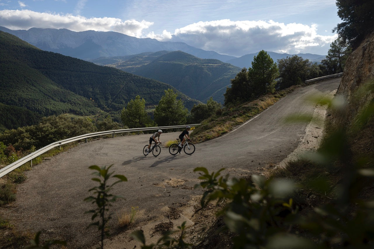 Scott Road Available at Contender Bicycles
