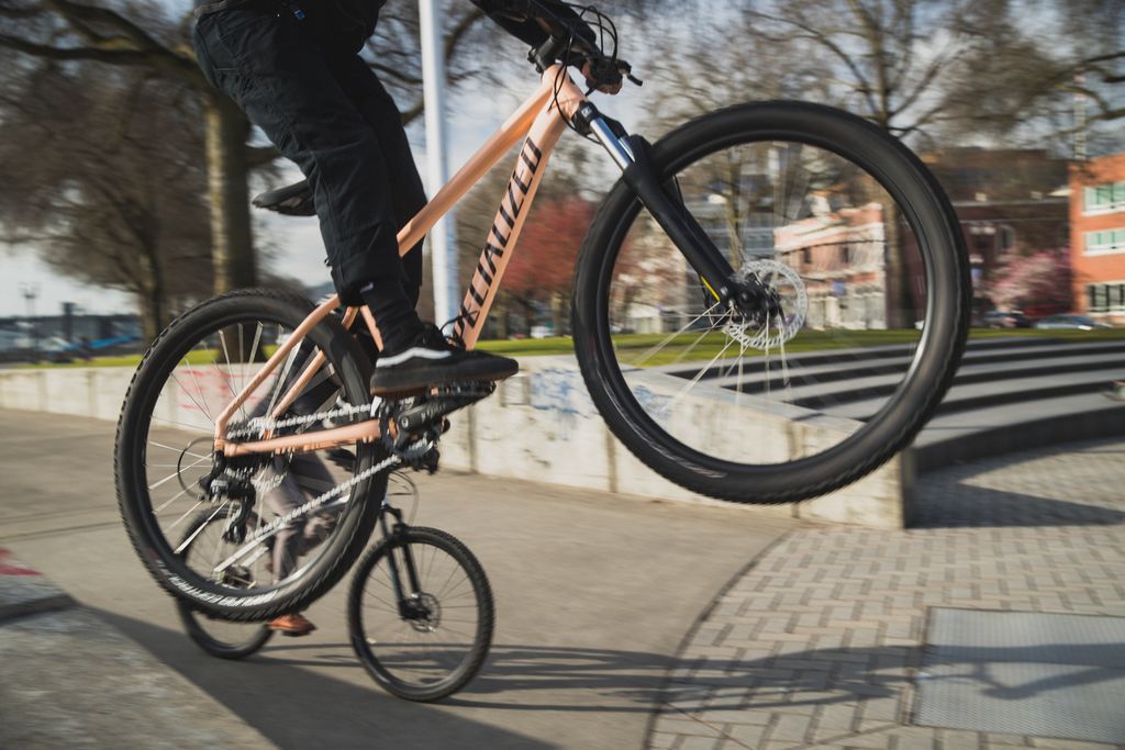 Specialized Bikes Rockhopper Media Image Number 1