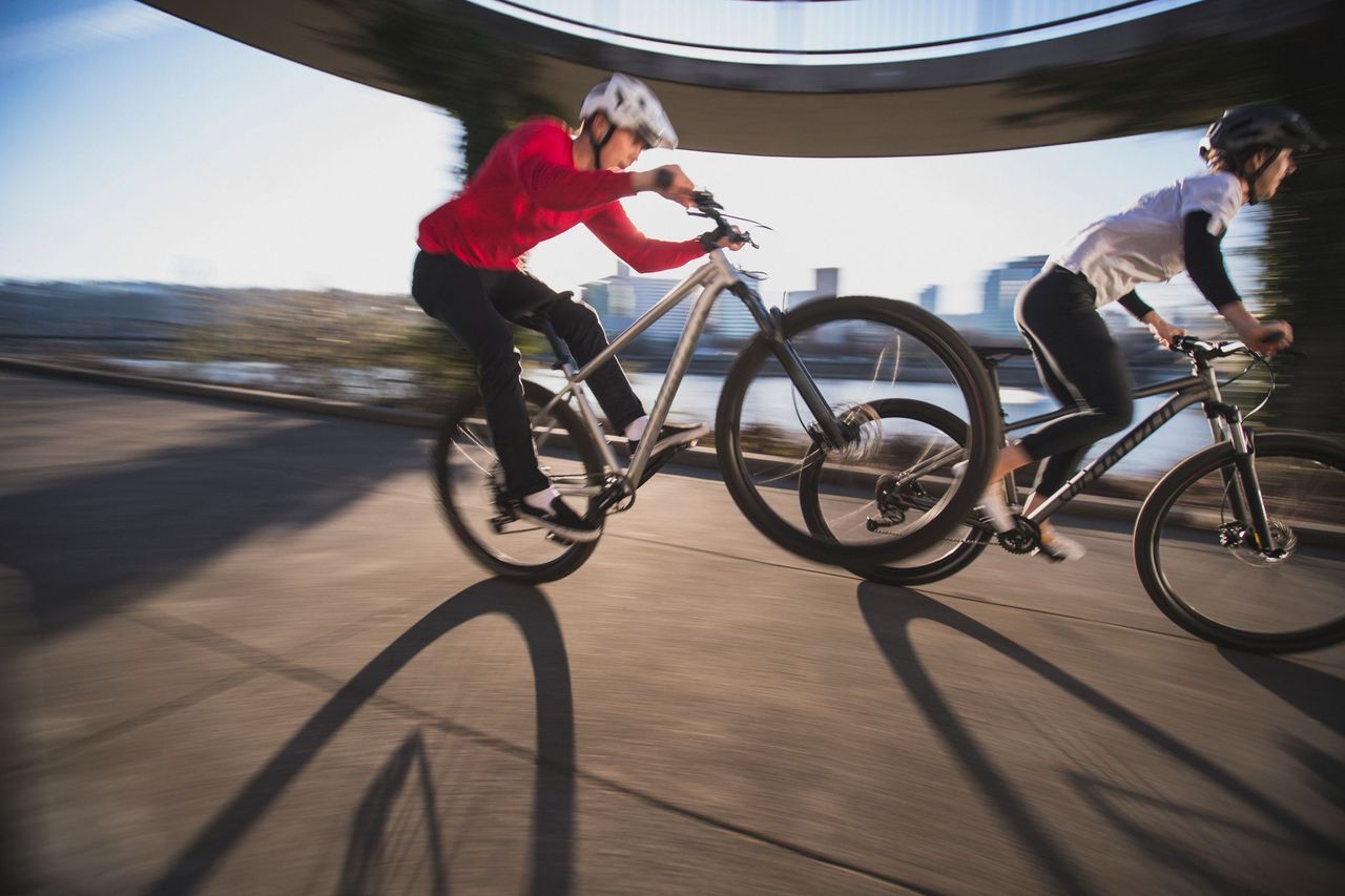 The Specialized Bikes Rockhopper Media Image Number 3