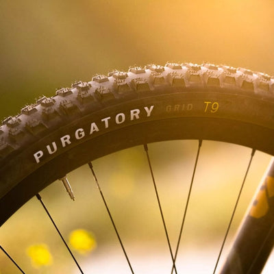 Specialized Purgatory Grid 2Bliss Ready T7 Tire Black Sidewall View