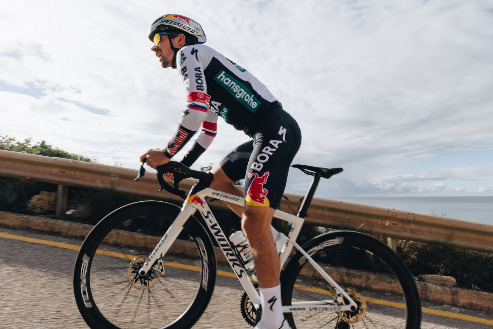 The Specialized Tarmac Media Image 4