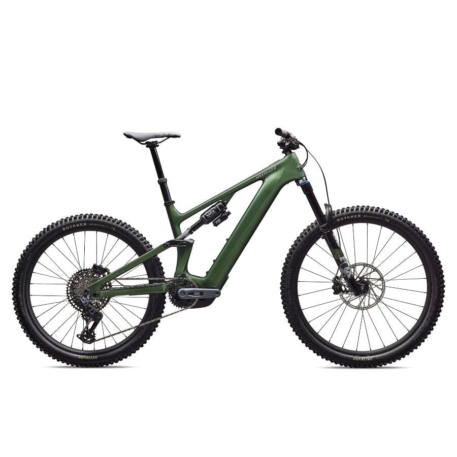 Specialized Turbo Levo 4 Expert Gloss Cypress Metallic / Silver Dust / S4