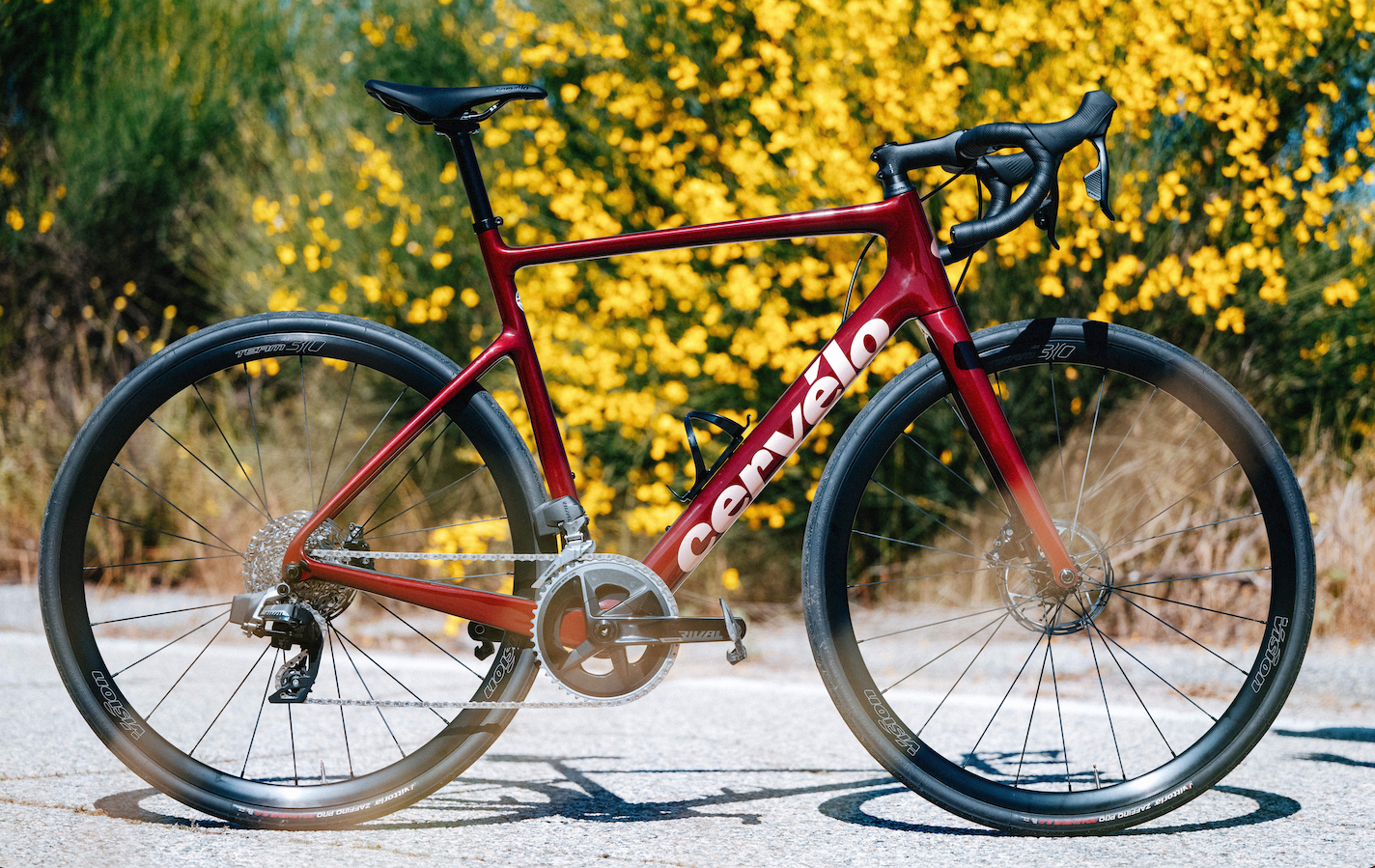 a red cervelo caledonia road bicycle sitting on front of fall foliage