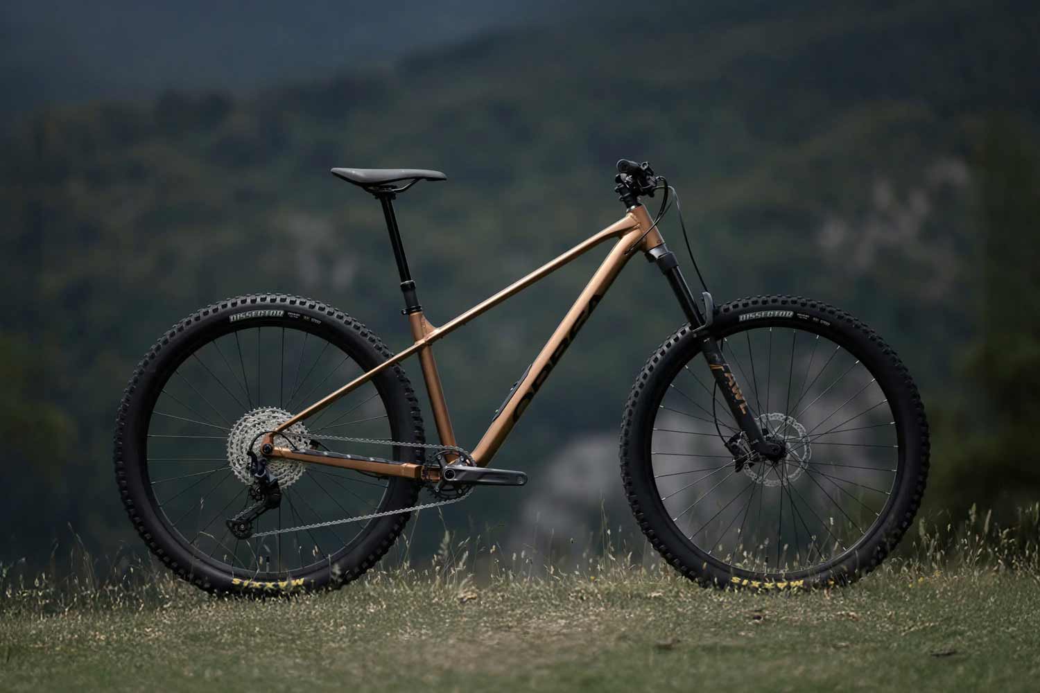 Brown Orbea Laufey staged on top of grass with mountains in the background.
