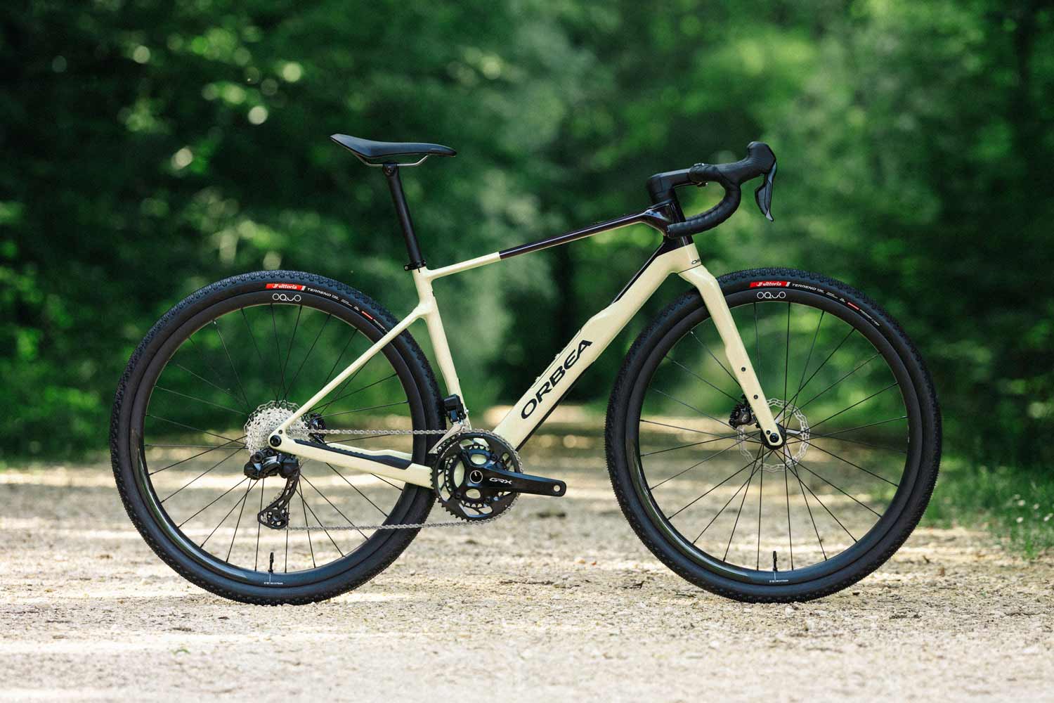 White bicycle with black tires on a gravel path surrounded by greenery.