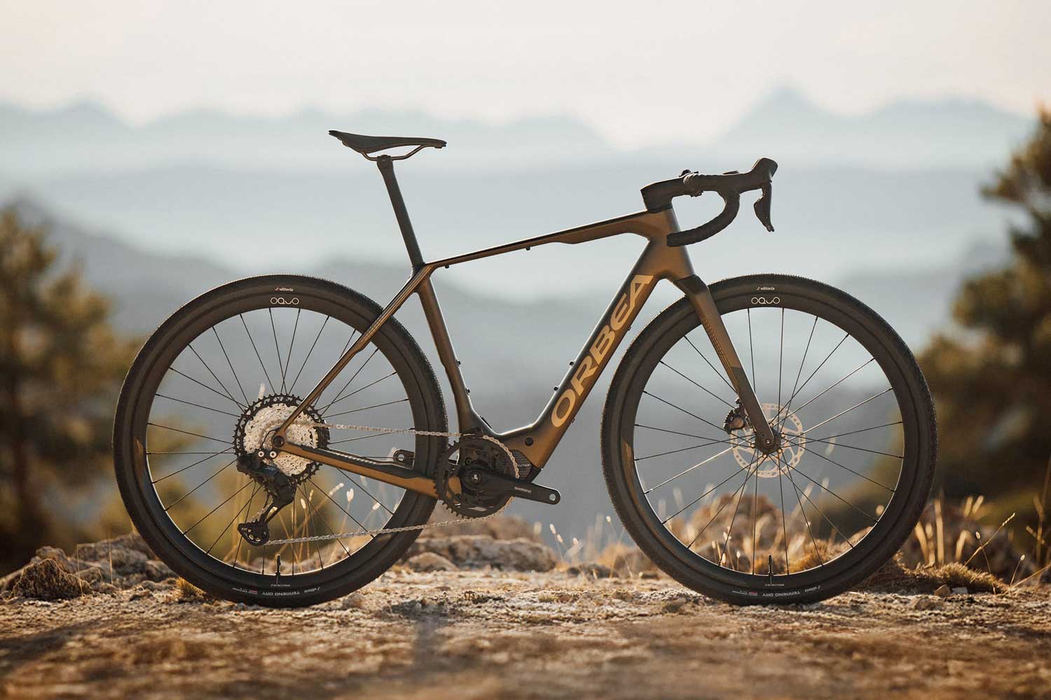 Cycling bike on a rocky terrain with a mountainous background.