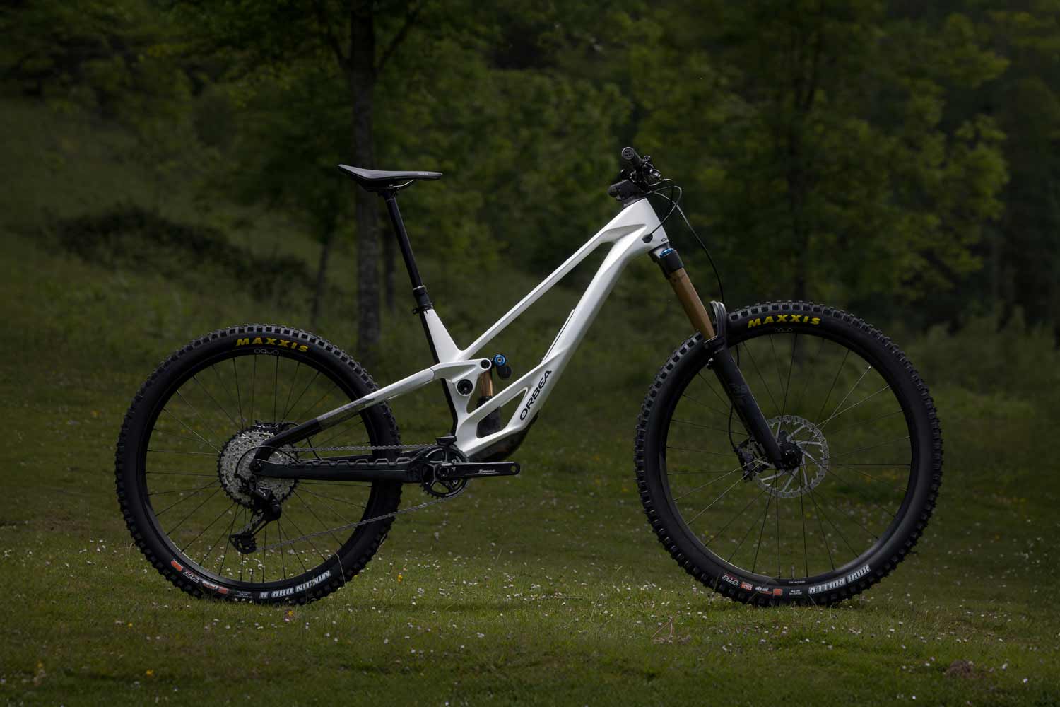 White mountain bike on a grassy field with trees in the background.